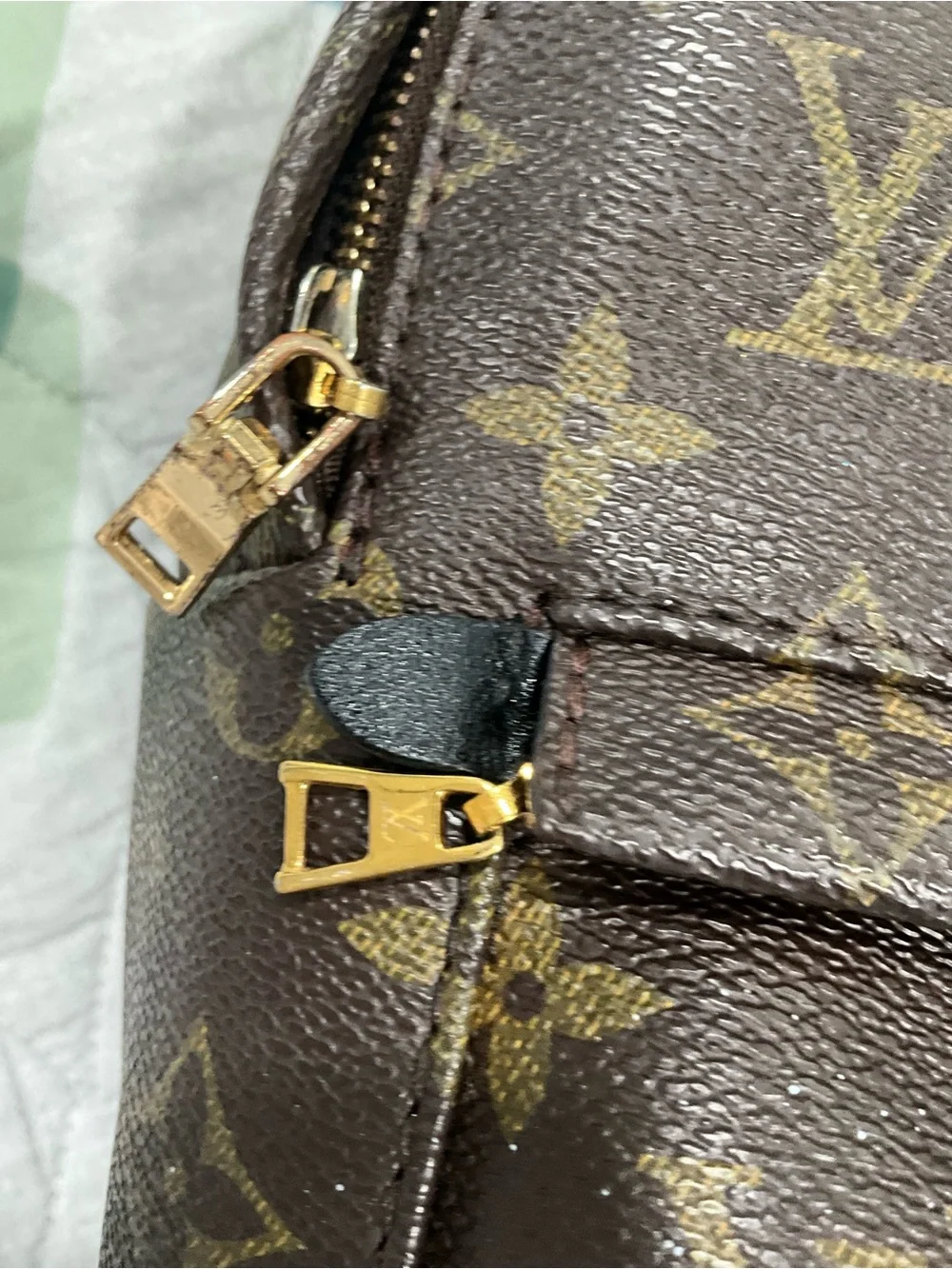 Louis Vuitton Monogram Palm Springs Backpack